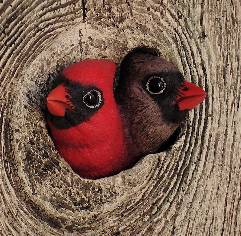 Cardinal "Messenger"