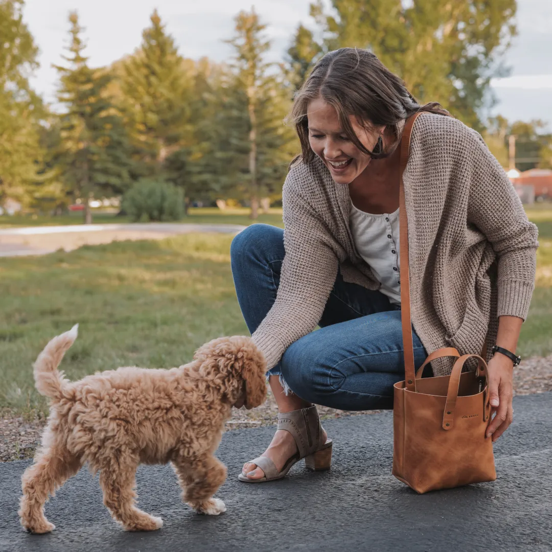 Rainier Mini Crossbody Tote