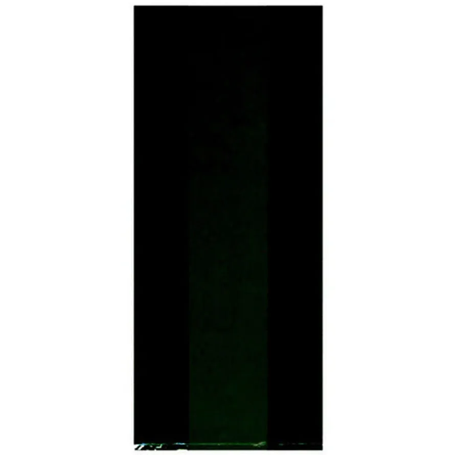 Small Plastic Treat Bags Black | 25ct